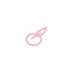 Peachiie Shop coupons and promo codes