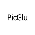 PicGlu coupons and promo codes