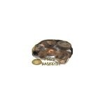 Peg's Basketry coupons and promo codes