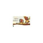 Purinjin coupons and promo codes