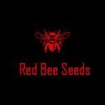 Red Bee Seeds coupons and promo codes