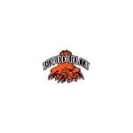 Redwood Burl coupons and promo codes