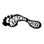 Remind Insoles coupons and promo codes