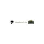 Rolling Raven Studio coupons and promo codes