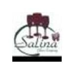 Salinaglass.com coupons and promo codes
