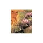 Scottcrew Candle Supply Store coupons and promo codes