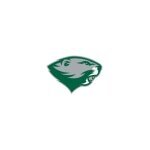 Babson Athletics coupons and promo codes
