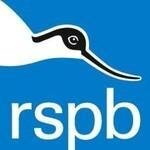 RSPB Shop coupons and promo codes