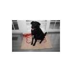 Soggydoggydoormat.com coupons and promo codes