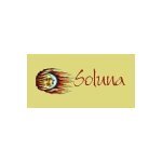 Soluna Hair Concepts coupons and promo codes