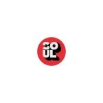 Soul Chai coupons and promo codes