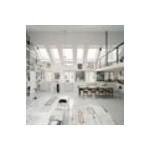 Spinelessclassics.com coupons and promo codes