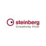 Steinberg coupons and promo codes