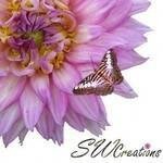 S W Creations coupons and promo codes