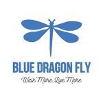 Blue Dragon Fly coupons and promo codes