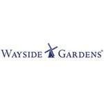 Wayside Gardens coupons and promo codes