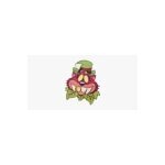 Wonderland Gardens coupons and promo codes