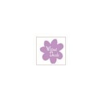 Whimsi Decals coupons and promo codes