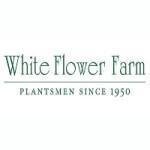 White Flower Farm coupons and promo codes