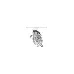 Wise Owl Paint coupons and promo codes