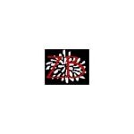 ZonaBands coupons and promo codes