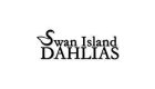 Swan Island Dahlias