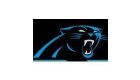Carolina Panthers