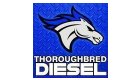 Thoroughbred Diesel
